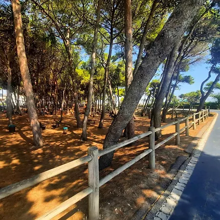 Apartment Mare Int B - Myho Casa