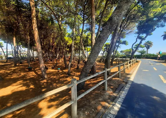 Apartman Mare Int B - Myho Casa